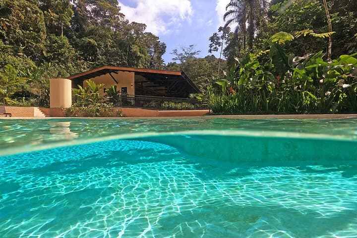 Hot Springs Pura Vida: Arenal Thermal River Soak & Rainforest Walk photo 4