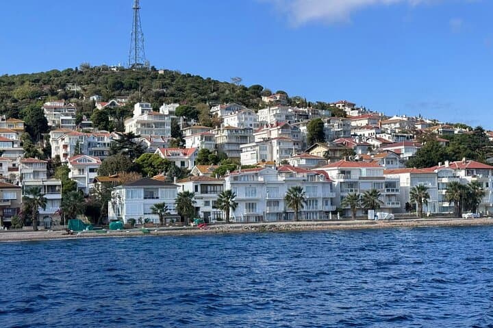 Prince Islands Day Tour from Istanbul: Ferry Rides, Bayside Lunch & Village Walks