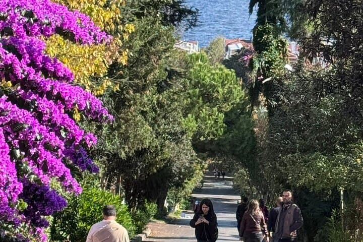 Prince Islands Day Tour from Istanbul: Ferry Rides, Bayside Lunch & Village Walks photo 3