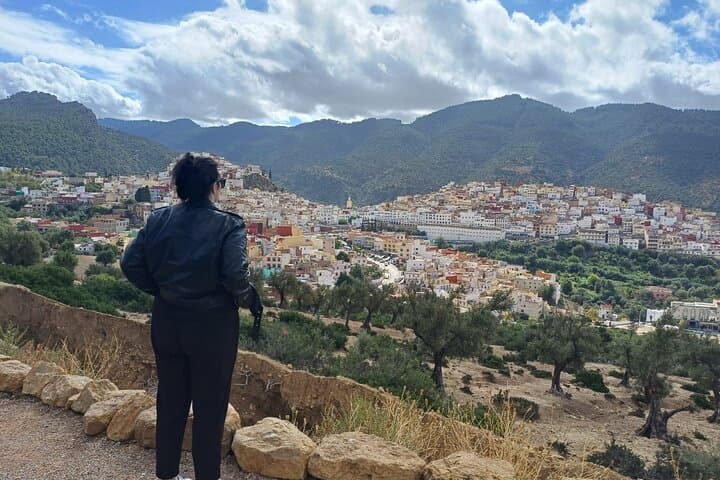 Day Trip from Fez: Volubilis, Moulay Idriss & Meknes — Roman Ruins to Imperial Gates