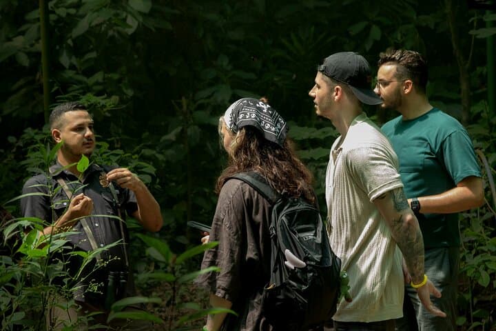La Fortuna Night Wildlife Walk — Private Rainforest Night Tour photo 3