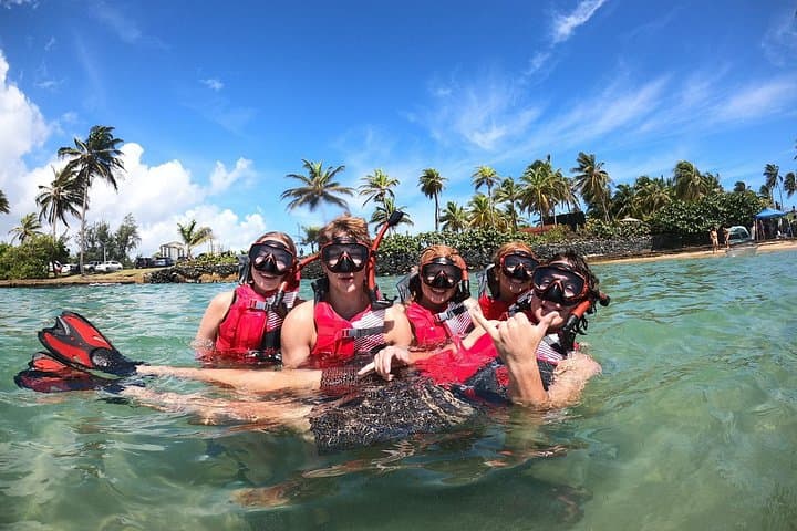 Snorkeling with Green Sea Turtles at Escamron Beach, San Juan photo 1