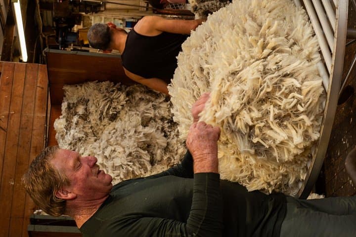 Mt Hay Farm Experience: Lake Tekapo Merino Sheep Show & Sheepdog Demonstration photo 2