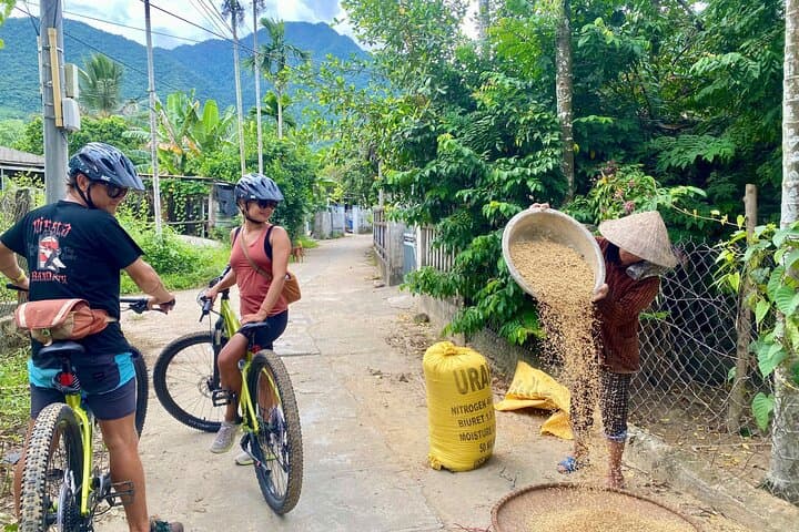 Cycle Hoi An: Rent a Trek Marlin and Ride Rice Fields to the Coast photo 2