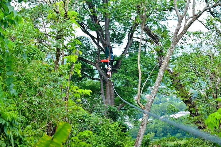 Phuket Jungle Xtreme Adventure: High-Ropes, Ziplines & Canopy Park in Phuket Rainforest photo 3