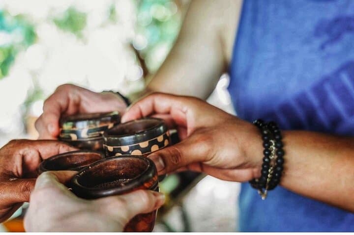 Manuel Antonio Chocolate Tour: Cacao Plantation, Lunch & Cultural Experience