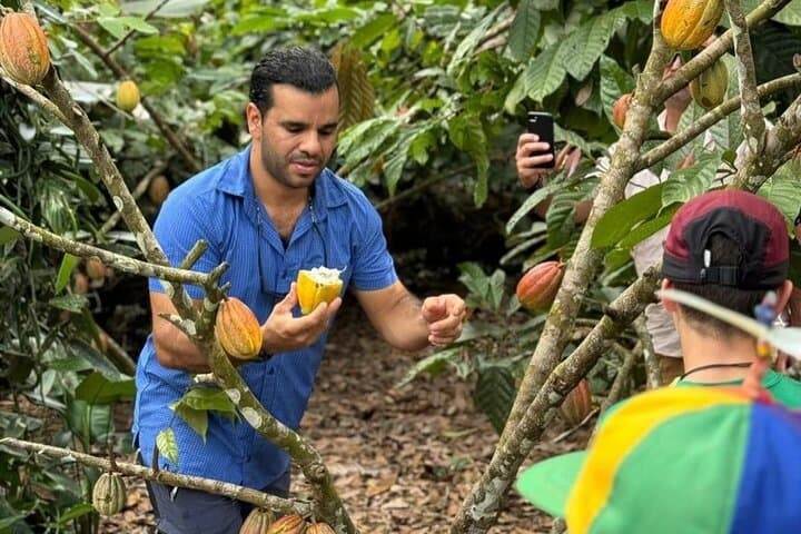 Manuel Antonio Chocolate Tour: Cacao Plantation, Lunch & Cultural Experience photo 2