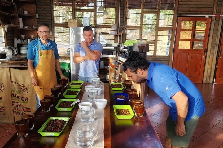 Manuel Antonio Chocolate Tour: Cacao Plantation, Lunch & Cultural Experience photo 4