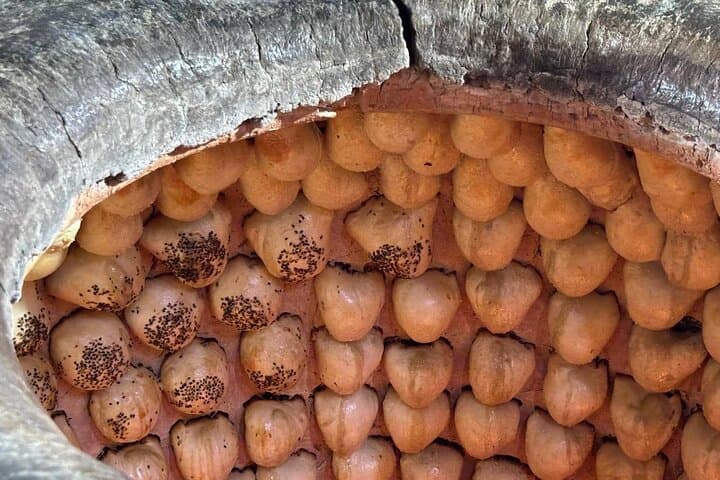Taste Tashkent: Guided Food Tour Through Chorsu Bazaar and Local Eateries photo 3