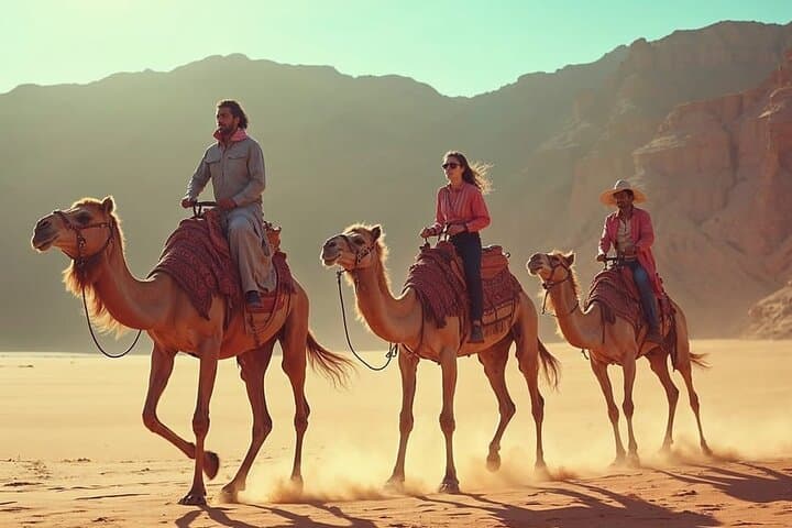 Sinai Evening: Camel Ride, Bedouin BBQ and Stargazing from Sharm El-Sheikh