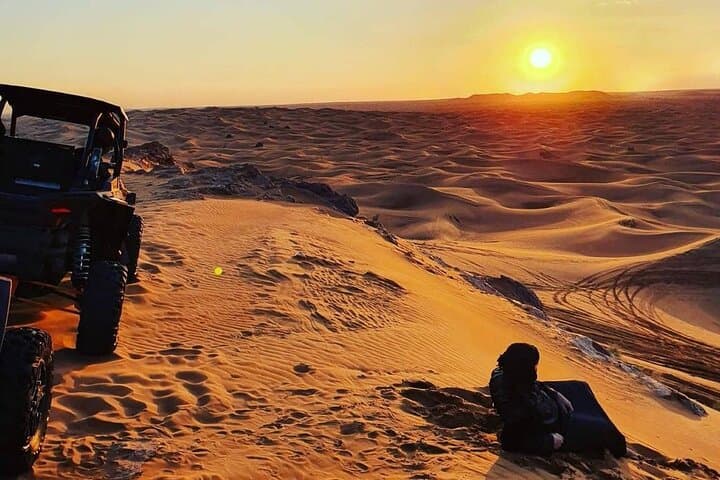 Dubai Red Dunes Desert Safari: Dune Bashing, Falcon Photos & BBQ Under the Stars photo 4