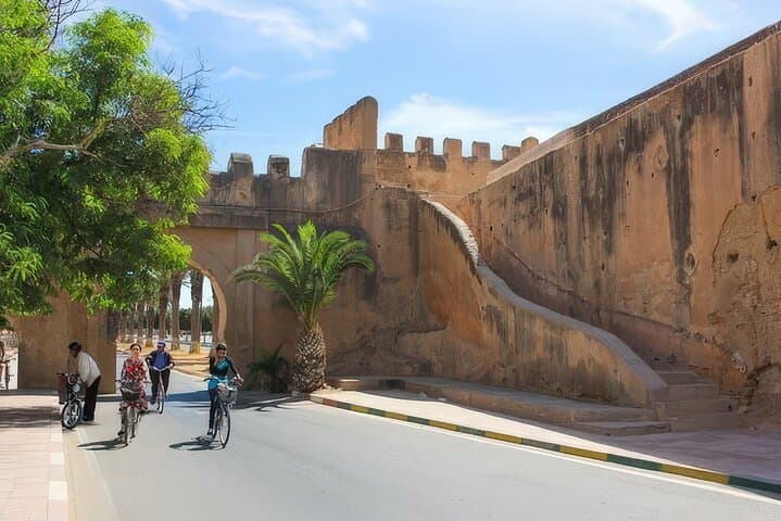 Tiout & Taroudant Day Trip: Oasis Walks, Kasbah Views and Local Souks photo 4