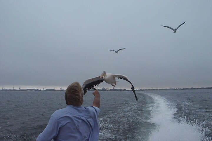 Walvis Bay Seal and Dolphin Catamaran Cruise with Oyster Tasting photo 2