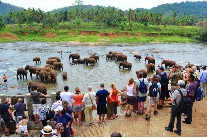 Overnight Kandy & Sigiriya Tour from Colombo — Pinnawala, Dambulla, and Sigiriya Rock