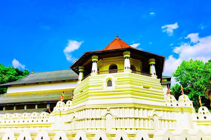 Overnight Kandy & Sigiriya Tour from Colombo — Pinnawala, Dambulla, and Sigiriya Rock photo 3
