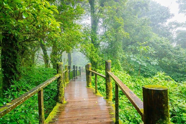 Doi Inthanon Day Tour: Waterfalls, King & Queen Chedis & Hill‑Tribe Visit from Chiang Mai photo 4