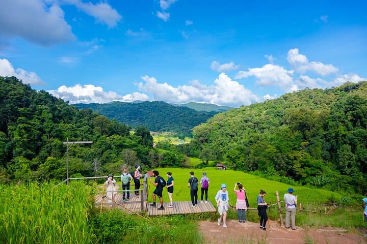 Doi Inthanon Day Hike: Pha Dok Siew Trail, Wachirathan Waterfall & Hill-Tribe Markets
