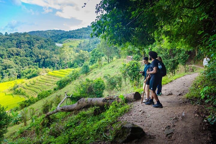 Doi Inthanon Full-Day Trek: Summit Views, Waterfalls & Pha Dok Siew Village photo 2