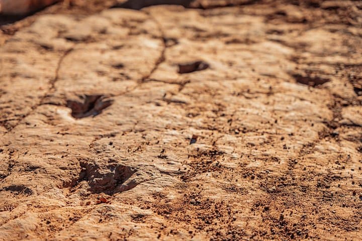 Sand Hollow UTV Tour to Dinosaur Tracks — Greater Zion Off-Road Adventure photo 2