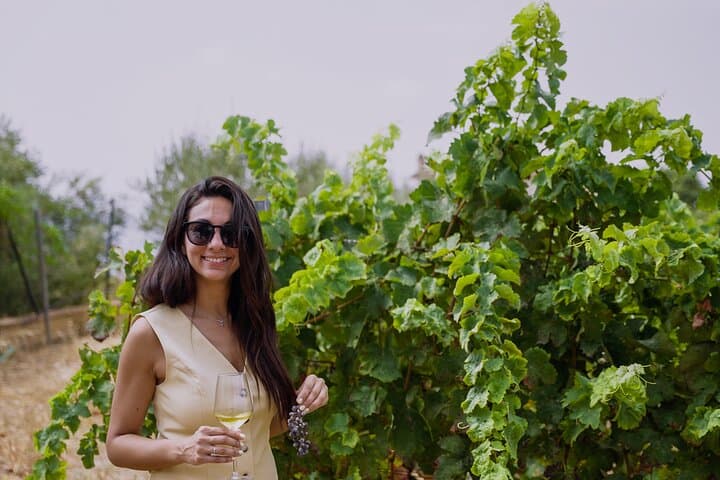 Malaga Organic Vineyard Wine Tour: 6-Wine Tasting & Tapas photo 4