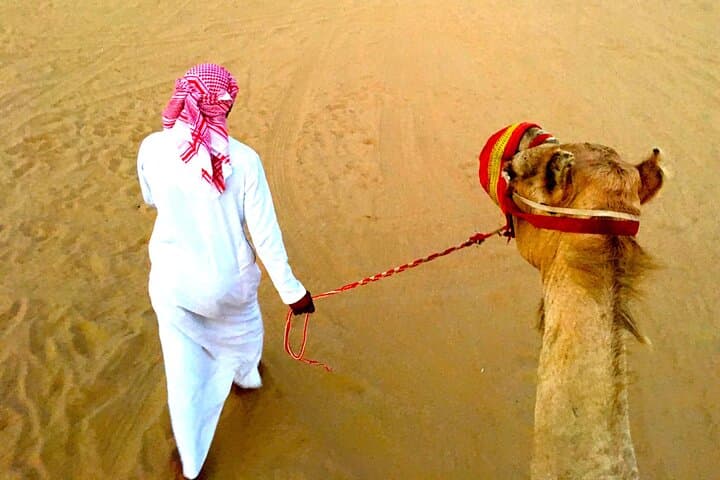 Dubai Desert Safari: Dune Bashing, ATV Ride, Camel Trek & BBQ Under the Stars