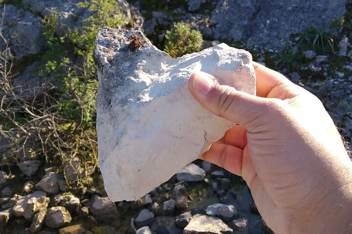 Between Rocks and Silences — Geological Walk in Portugal's Serra de Aire e Candeeiros photo 3