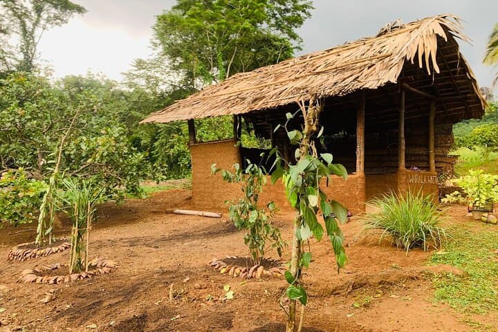 Warala Watta Ceylon Cinnamon & Spice Farm Tour — Hands-On Estate Experience photo 2