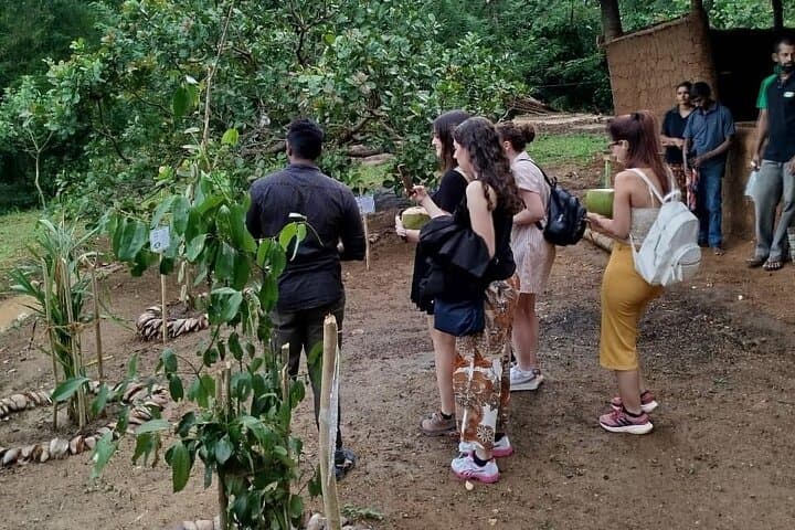 Warala Watta Ceylon Cinnamon & Spice Farm Tour — Hands-On Estate Experience photo 4