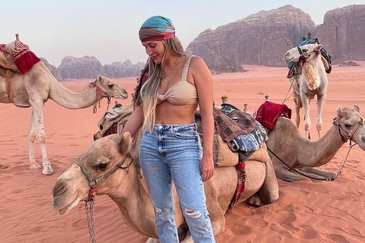 One-Day Wadi Rum Private Guided Tour from the Dead Sea
