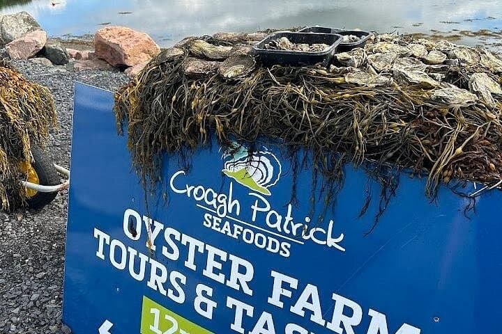 E-Bike to an Oyster Farm in Clew Bay: Westport Guided Tour & Tasting