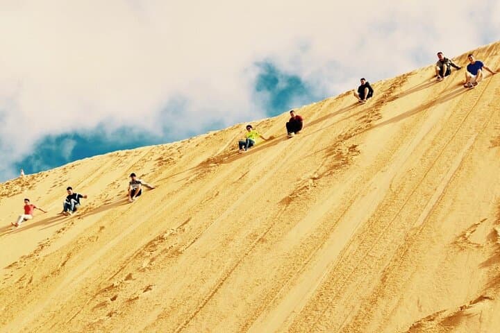 Port Stephens Sandboarding & Dolphin Cruise Day Trip from Sydney photo 4