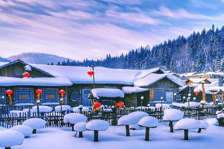 Harbin Ice & Snow Festival: 8-Day Senior Private Tour to Snow Town and City Highlights photo 6