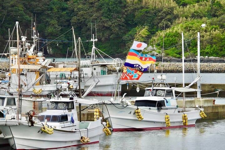 Sea Kayaking & Beach Clean-Up on Ojika Island, Nagasaki: Remote Beaches by Paddle photo 5
