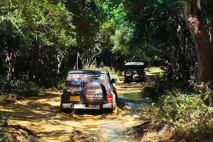 Full-Day Wilpattu Safari: Private Game Drive from Anuradhapura photo 5