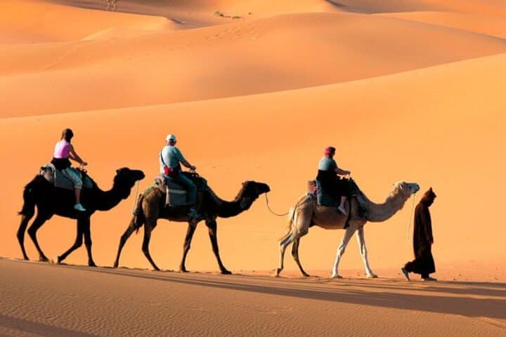 Sharm El Sheikh Desert Quad Bike Safari with Bedouin Dinner & Live Show photo 4