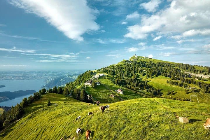 Rigi Queen of the Mountains and Lucerne: Day Trip from Zurich photo 1