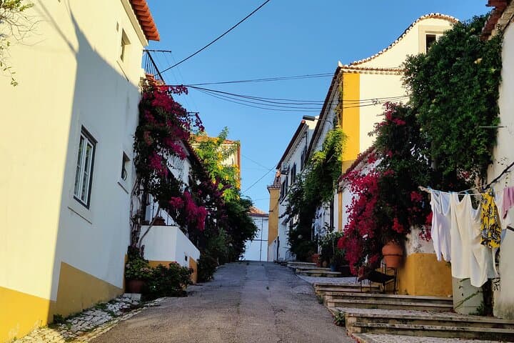 Setúbal Market, Azulejos & Moscatel: Private Day Trip from Lisbon through Arrábida photo 3