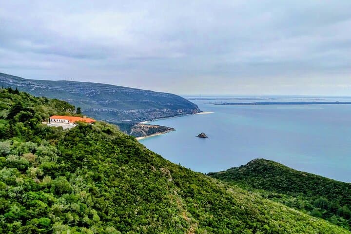 Setúbal Market, Azulejos & Moscatel: Private Day Trip from Lisbon through Arrábida