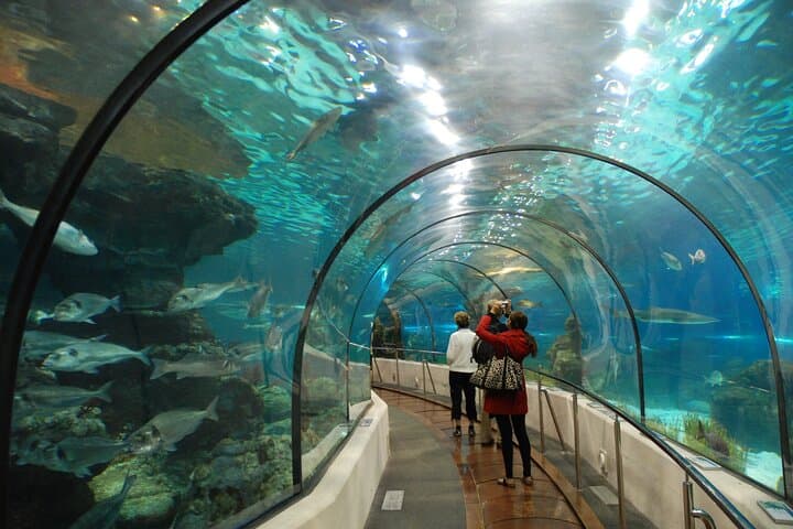 Hurghada Grand Aquarium Guided Tour — Touch Tank, Mini Zoo & Rainforest Walk (2–3 hrs) photo 2