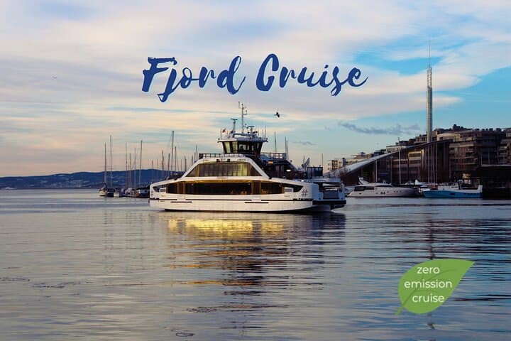 Oslofjord Sightseeing Cruise: Electric Panorama from City Hall to Bygdøy