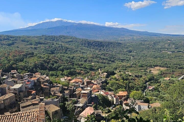 Sicilian Villages Wine, Oil & Ricotta Tasting from Catania photo 3