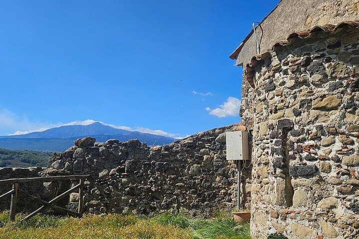 Sicilian Villages Wine, Oil & Ricotta Tasting from Catania photo 4