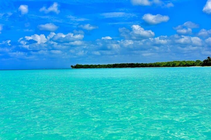 Full-Day Saona Island Catamaran & Natural Pool Excursion from Punta Cana