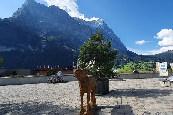 Grindelwald First from Interlaken: Cliff Walk, Gondola & Alpine Views photo 3