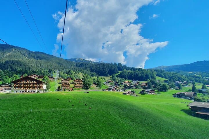 Grindelwald First from Interlaken: Cliff Walk, Gondola & Alpine Views photo 5
