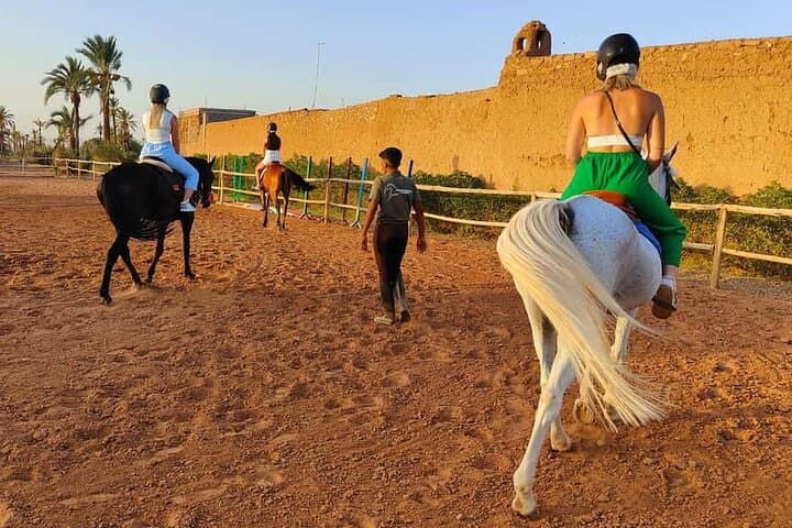 Marrakech Palmeraie Horseback Ride: Palm Grove Trails & Atlas Mountain Views photo 1
