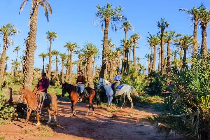 Marrakech Palmeraie Horseback Ride: Palm Grove Trails & Atlas Mountain Views photo 2