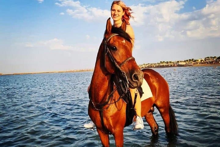 Hurghada Horse Riding: 3-Hour Beach, Desert & Red Sea Horse Swim Experience photo 2