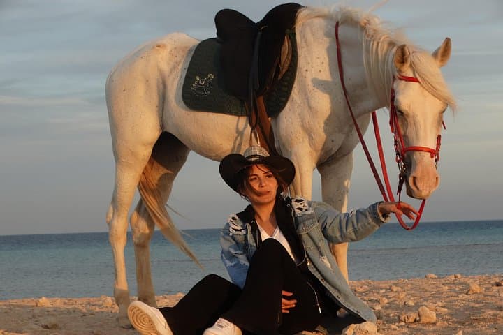Hurghada Horse Riding: 3-Hour Beach, Desert & Red Sea Horse Swim Experience photo 1