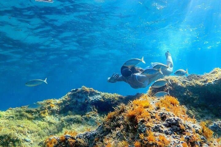 Snorkeling the Orosei Gulf: Half-Day Cala Gonone Marine Adventure photo 1